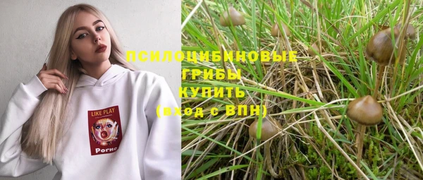 шишки Алзамай