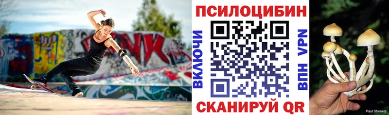 Псилоцибиновые грибы Psilocybine cubensis дарк нет формула Краснокамск